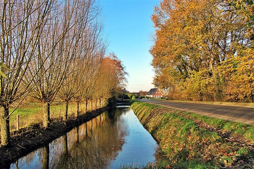Avviso prosciugatura canale per attività di manutenzione dal 11 al 26 ottobre 2025